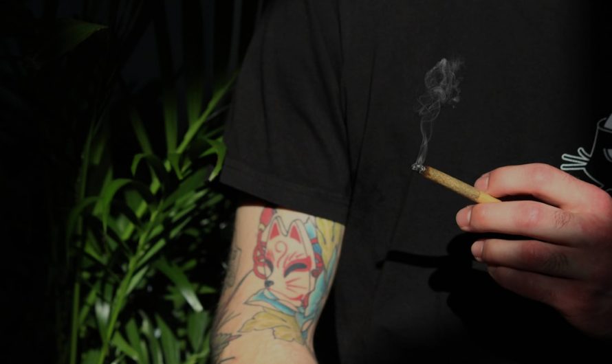 Prague Cannabis Delivery Service – Competitive THC Joint Pricing and Fast Home Delivery