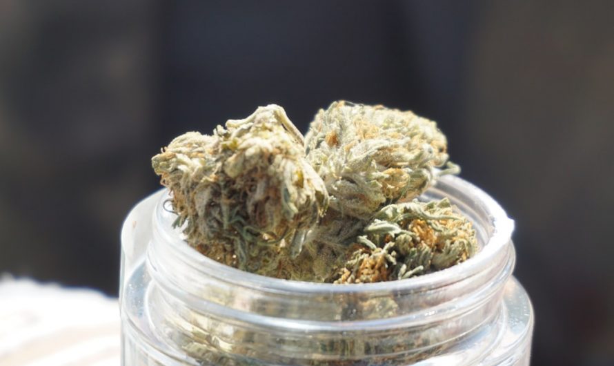 Prague’s Vape Scene: Legal Cannabis and Nightlife