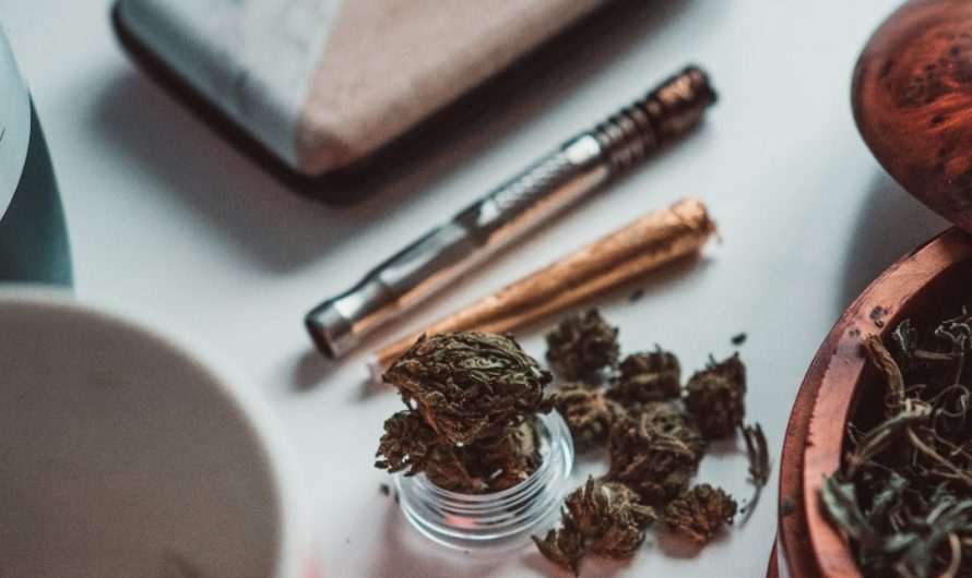 Fast and Reliable Online Cannabis Delivery in Prague