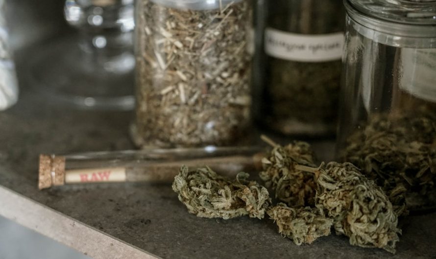 Prague is a vibrant hub for culture, history, and now, a growing cannabis scene