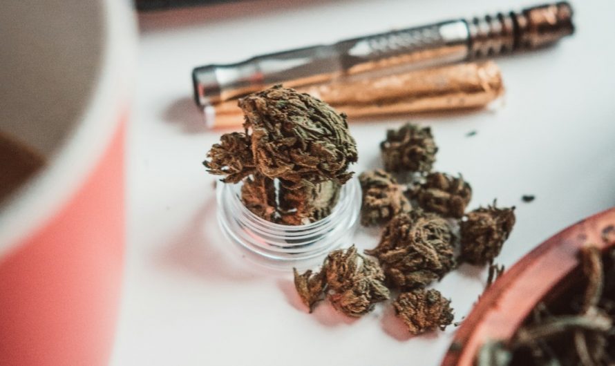 Premium THC Chocolate in Prague