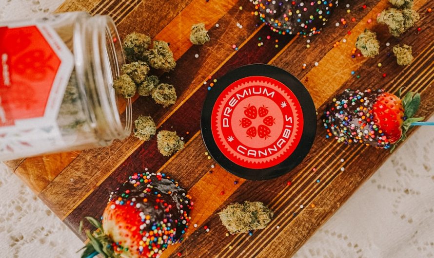 Prague: The New Hub for Quality Cannabis Products