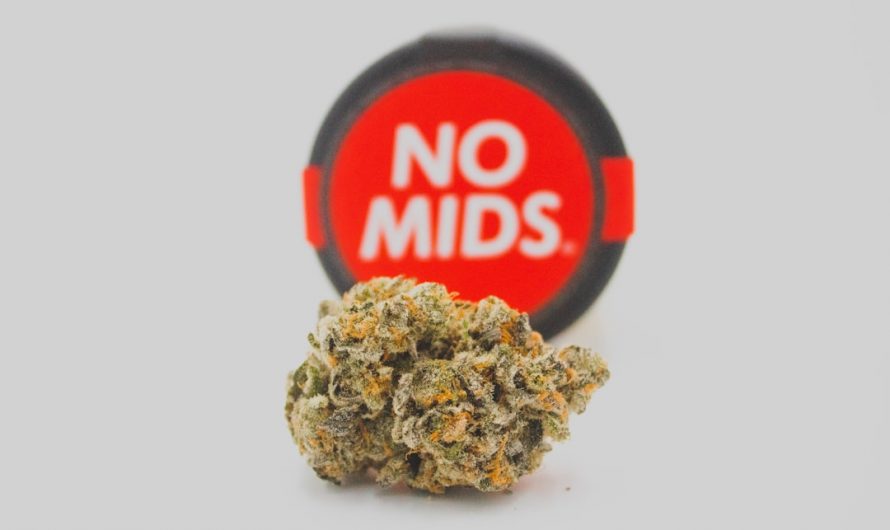 Looking for a delicious way to enjoy cannabis in the heart of Europe? Our online cannabis shop in Prague offers a wide range of premium THC‑infused treats