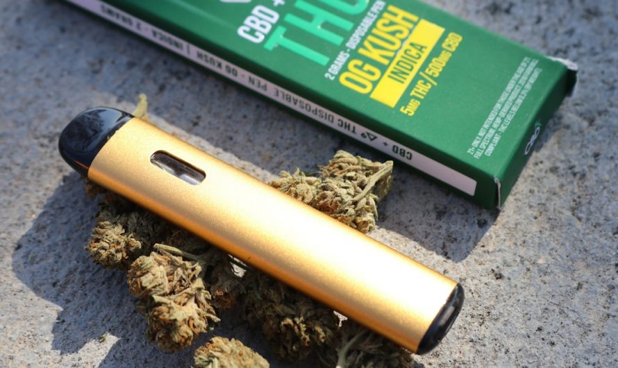 Fast Shipping Cannabis Shop in Prague