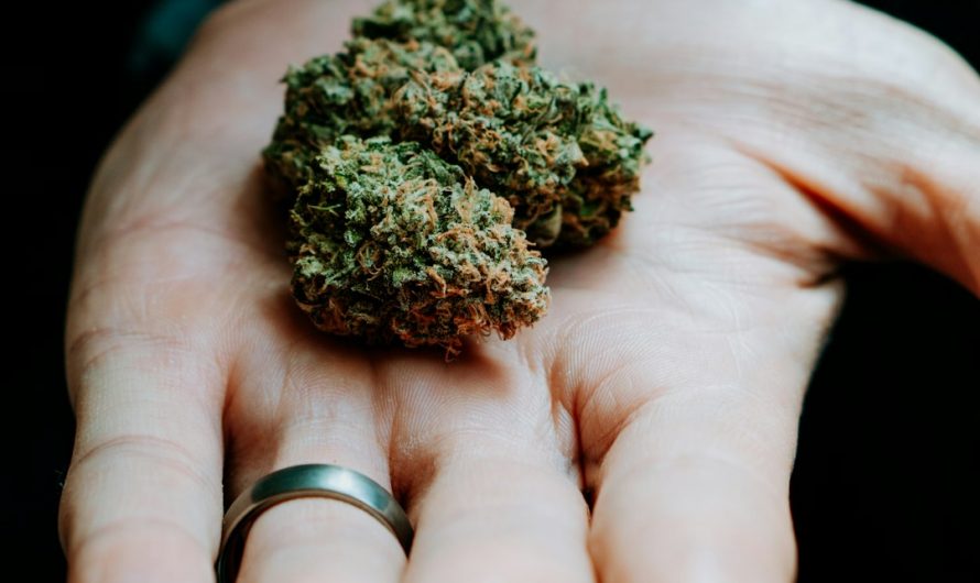 Looking for a reliable way to get high‑quality cannabis, weed, or marijuana in the Czech Republic’s capital?