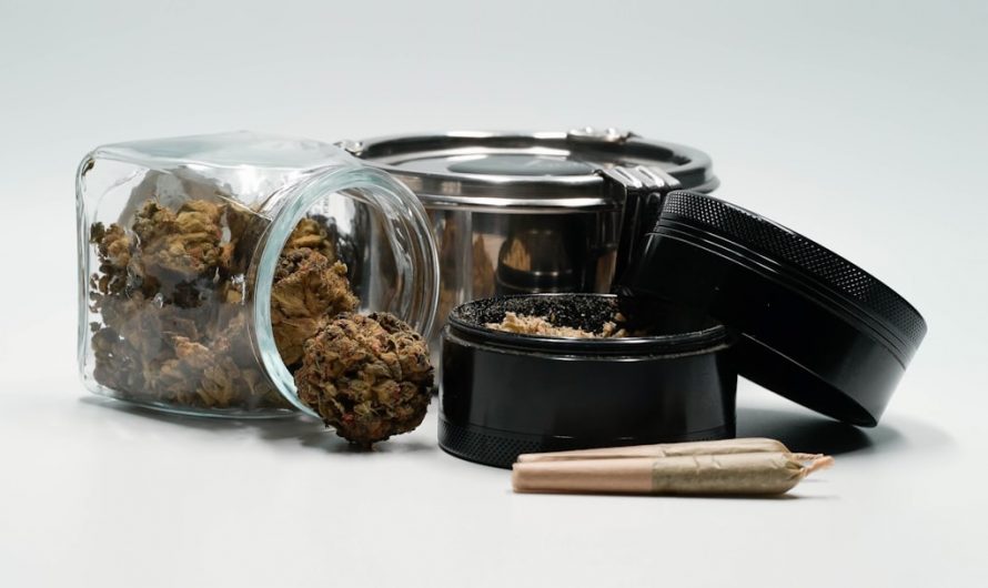 Welcome to the finest cannabis shop Prague and Prague weed shop experience