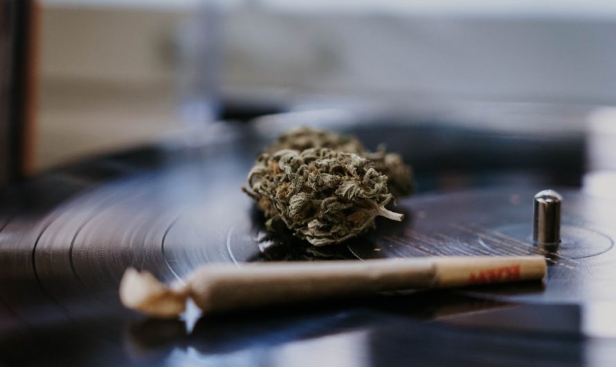 Prague is rapidly becoming the hub of the hemp and cannabis industry in the Czech Republic