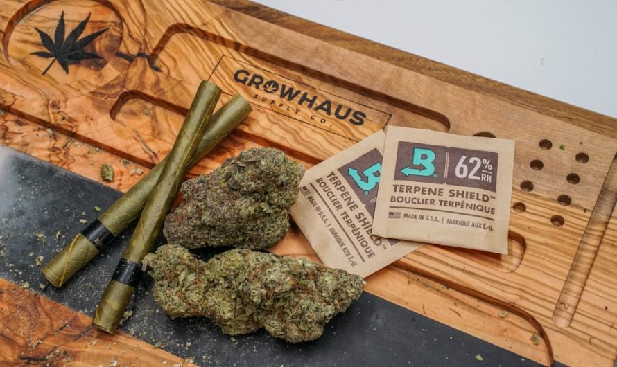 Prague’s vaping scene is thriving, and the demand for high‑quality THC vape products has never been higher