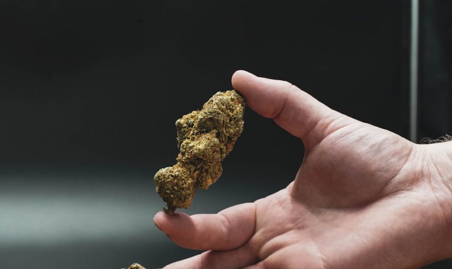 Welcome to Prague’s premier destination for all things vaping and cannabis