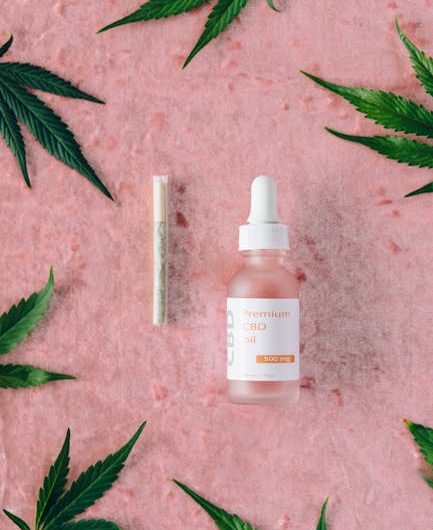 Why Prague is a Hub for Cannabis Trade