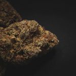 Welcome to the premier Prague hemp shop img-2565.jpg