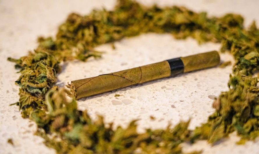 Cannabis Delivery Prague: Premium THC Chocolate and Edibles