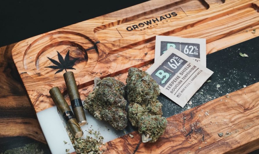 Cannabis Delivery in Prague: Premium Buds, Concentrates, and More