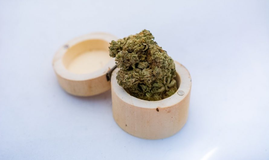 Prague cannabis market