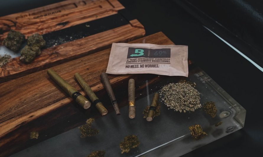 Prague THC Chocolate Shop: The Ultimate Cannabis Experience