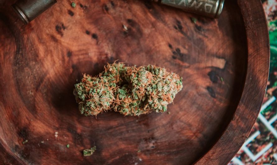 THC Vape Discreet Delivery Prague