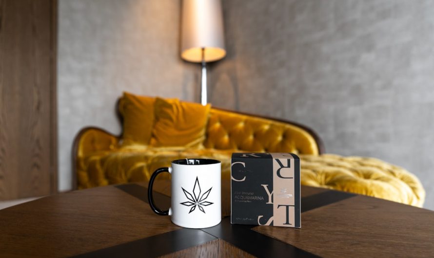 Prague Vape Shop: Best THC Vape Deals and Specials