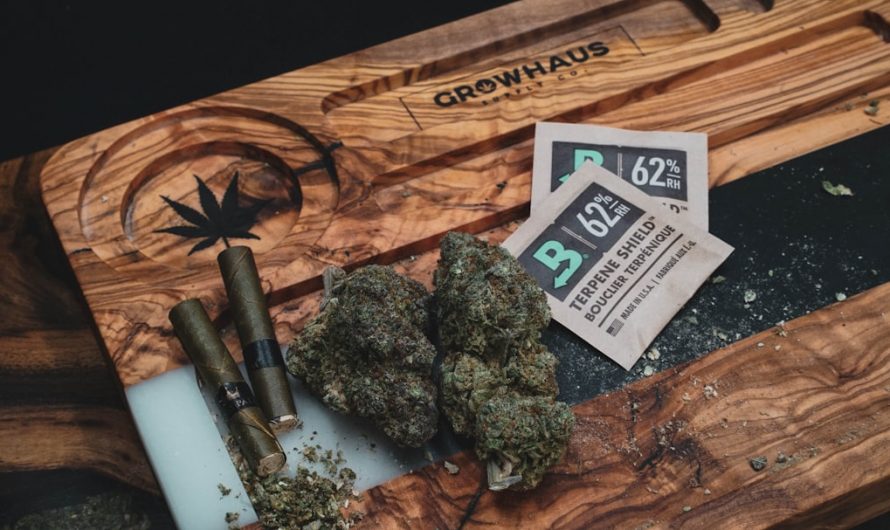 Welcome to the ultimate destination for THC‑rich vaping in the heart of Prague