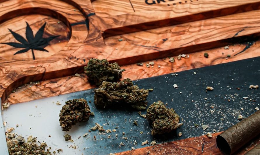Looking for the best THC joints in Prague