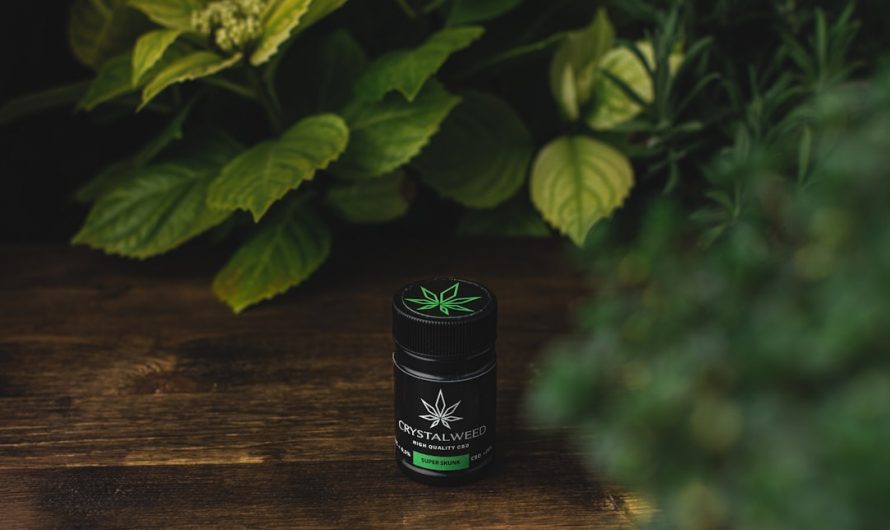 Legal THC Joint Store in Prague