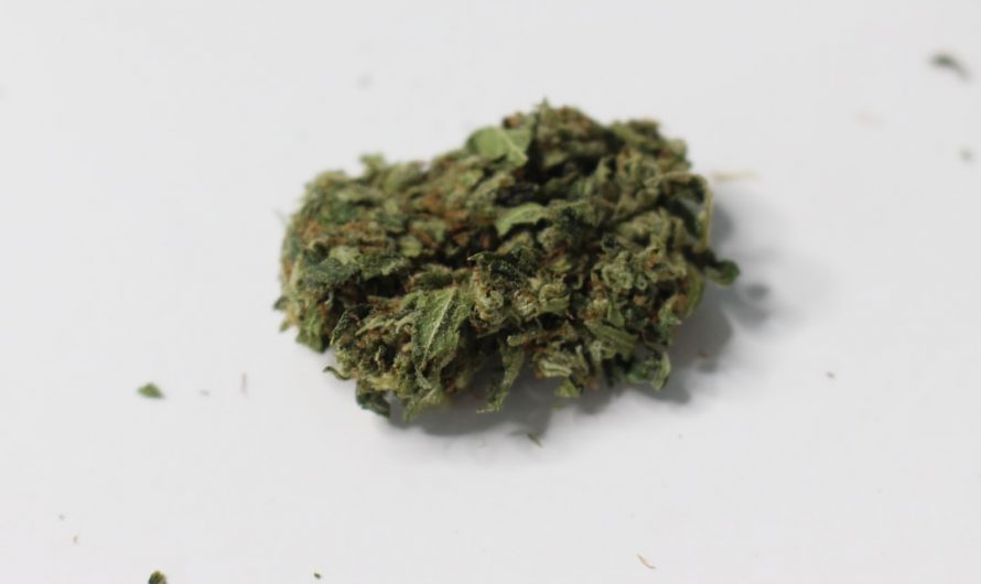 Best THC Vape Shop Prague