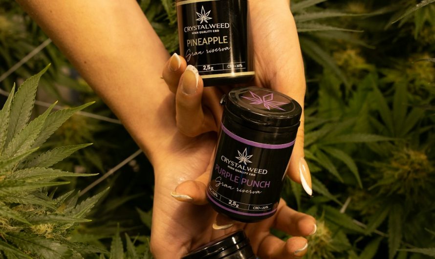 Welcome to the premier destination for cannabis, marijuana, hemp, THC, and weed in Prague.