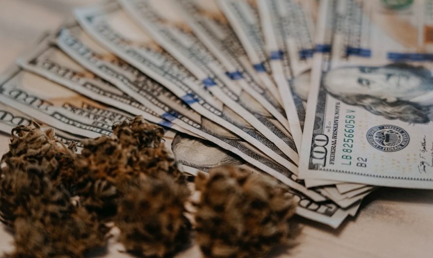 Hemp in Prague: Where to Buy and What to Know