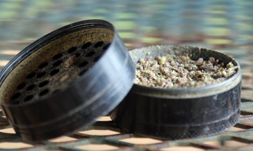 Cannabis in Prague: Your Guide to Buying Marijuana, Weed, Hemp, and THC Products