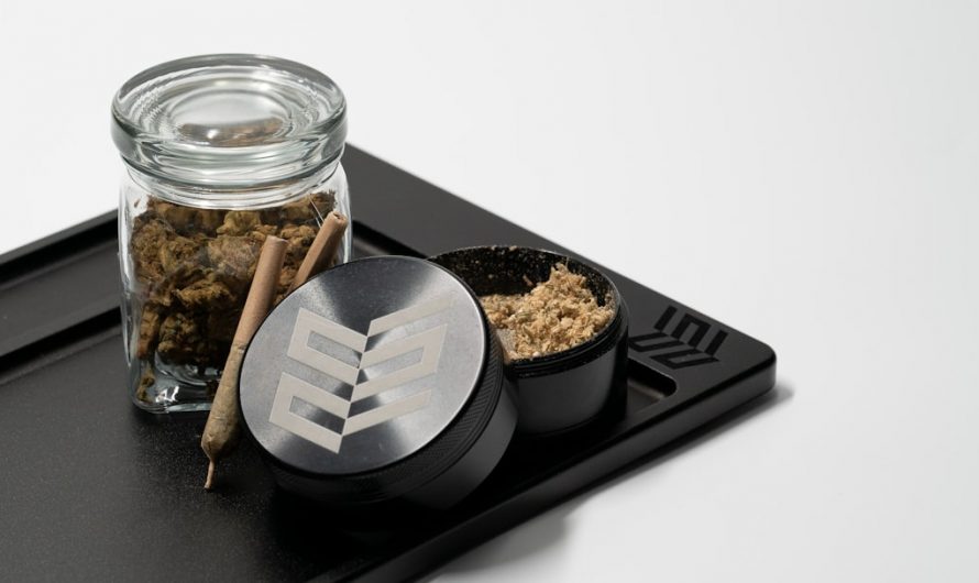 Explore the Sweet Side of Cannabis in Prague