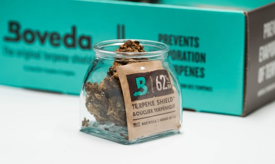 Prague is rapidly becoming a hub for cannabis enthusiasts, offering a vibrant cannabis culture that blends tradition with modernity