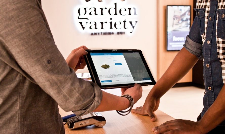 Looking for a reliable fast and discreet way to get high‑quality cannabis in Prague