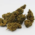 Ultimate Guide to Cannabis Tourism in Prague img-2861.jpg