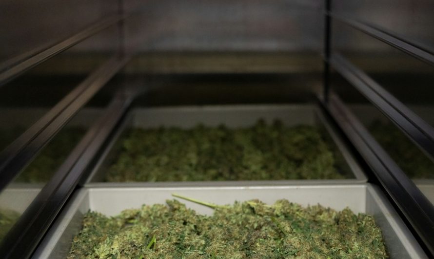 Cheap THC Joint Prague
