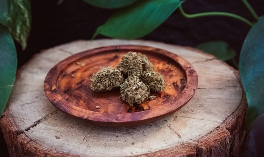 Prague has become a hotspot for cannabis enthusiasts, blending a rich cultural heritage with a growing cannabis market