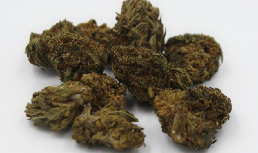 High-Quality THC Joints in Prague