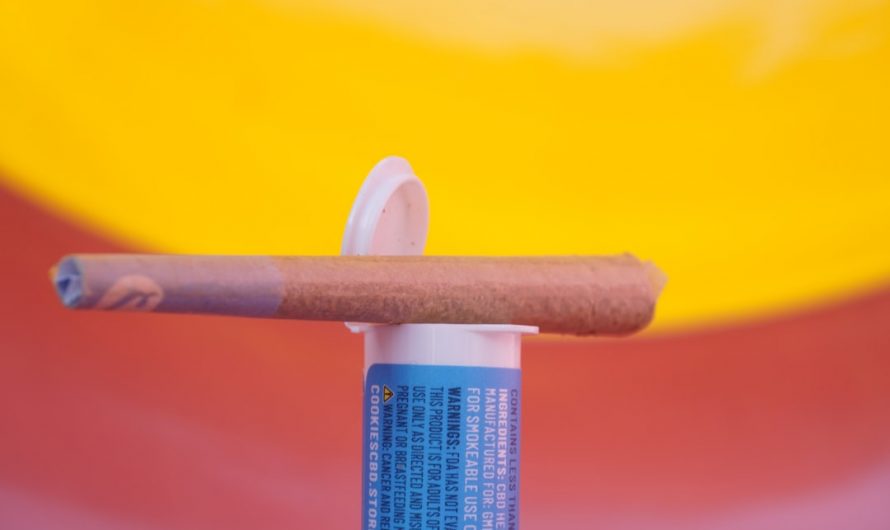 Buy THC Vape and Cannabis Products Online in Prague