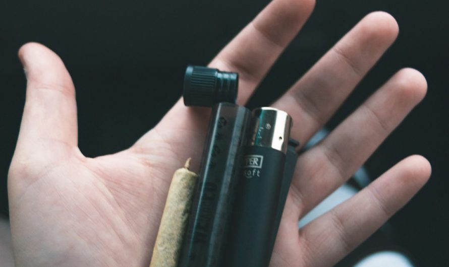 Cannabis Delivery Prague