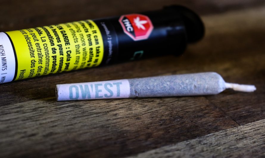 Looking for a reliable weed supplier that can deliver cannabis, marijuana, hemp, or THC products quickly and discreetly in Prague?