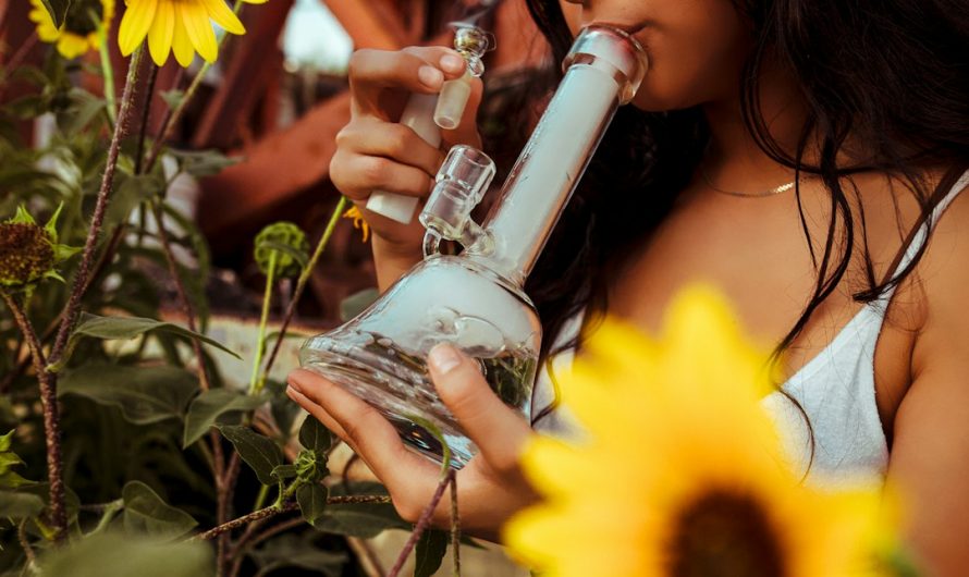 Buy Weed Online in Czech Republic