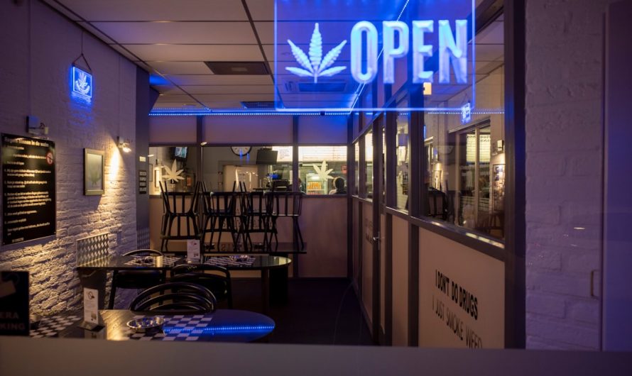 Welcome to Prague’s most comprehensive weed shop and cannabis boutique