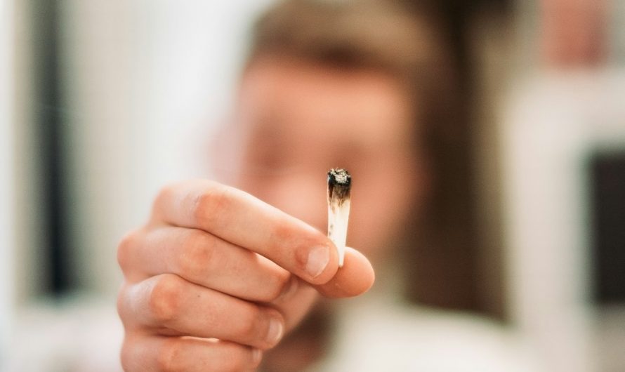 Premium THC Shop in Prague’s New Town