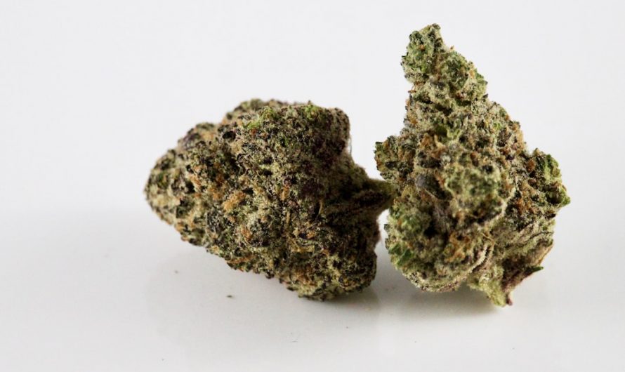 Welcome to the premier destination for hemp, cannabis, marijuana, and THC products in Prague
