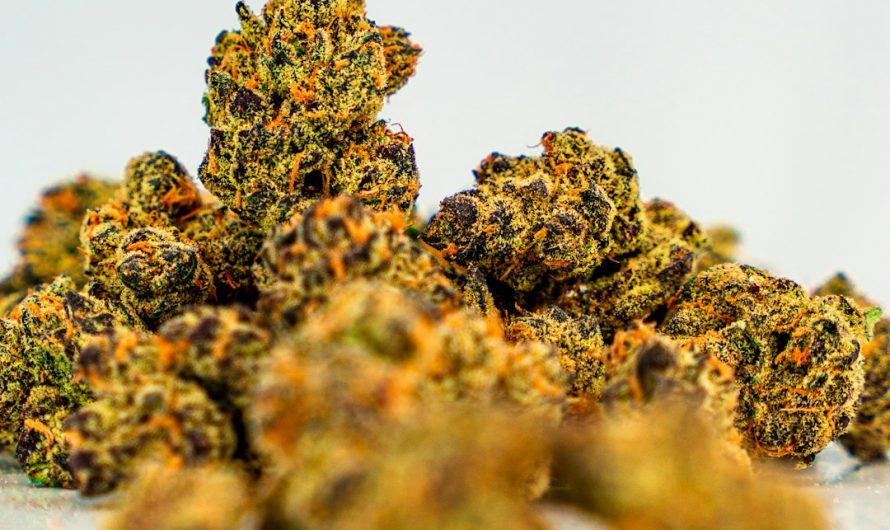 THC Joint Courier Delivery