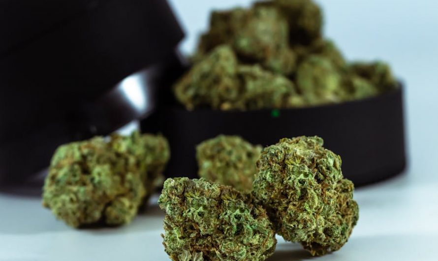 Welcome to the definitive guide for anyone looking to purchase cannabis, marijuana, hemp, THC, or weed in Prague