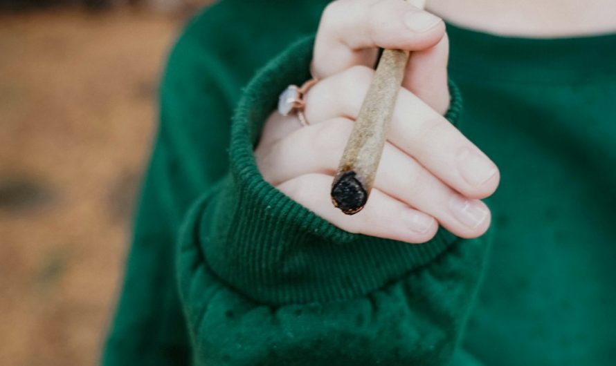 Prague: A Hotspot for THC Vaping