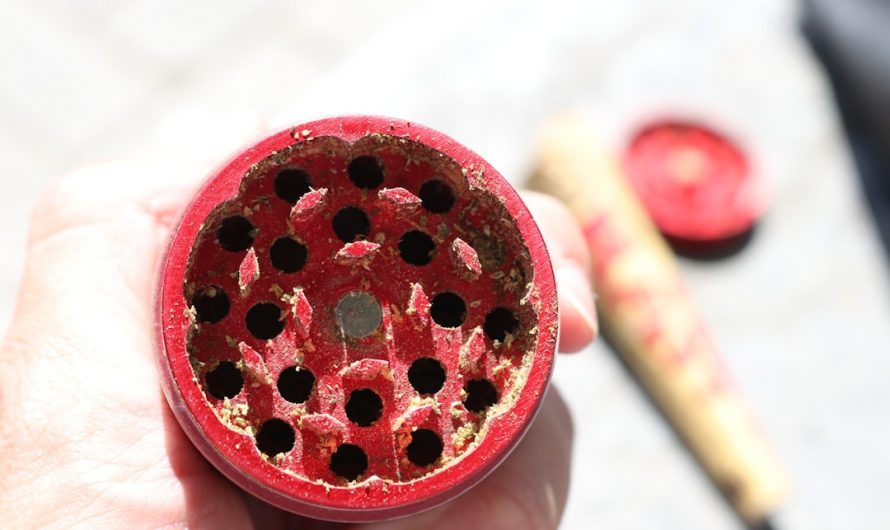 Fast Shipping Prague: Premium THC Joints Online