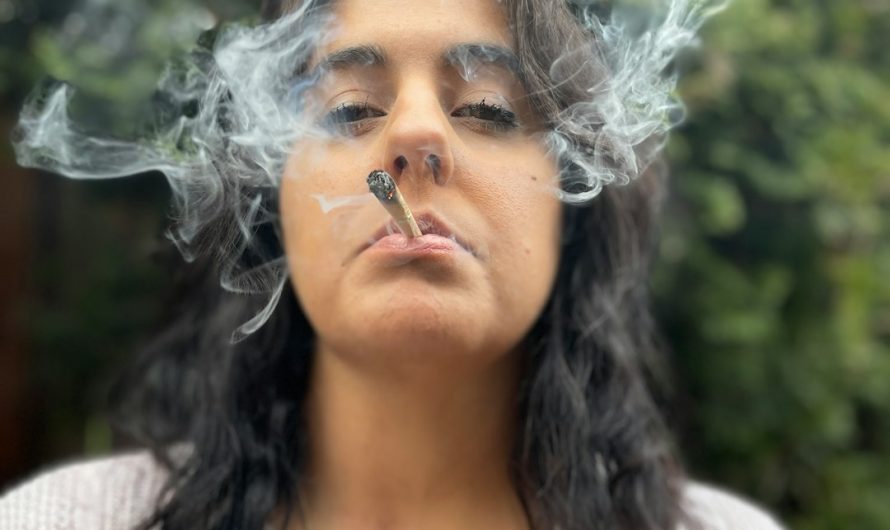 Welcome to the heart of the Czech Republic’s growing hemp scene
