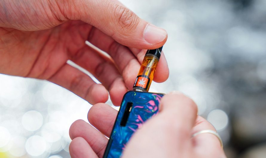 Cannabis in Prague: Legal Status, Product Range, and Online Dispensary