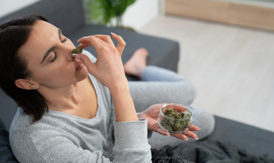 Welcome to the heart of Prague’s thriving vape culture