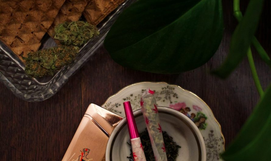 Prague’s Premier Destination for Premium THC Vape Cartridges, Vape Pens, and E‑Liquid